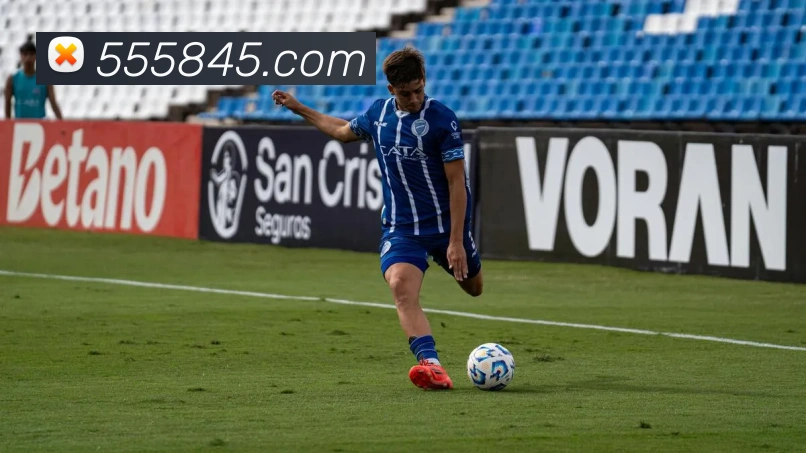 V66体育平台生态图