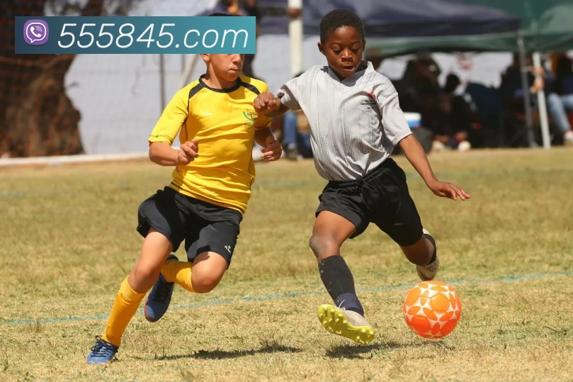 V66体育APP 封面图